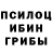 Псилоцибиновые грибы Psilocybe Natali Ukrainka