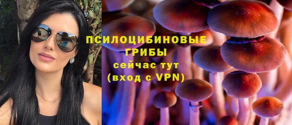 бутират Покачи