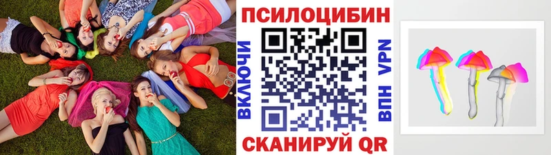 Псилоцибиновые грибы GOLDEN TEACHER  Электроугли 